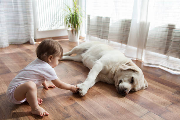 baby_with_dog_on_floor | Floortrends