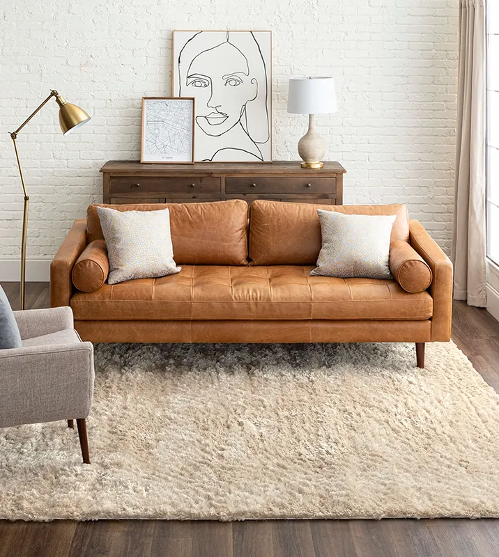 Area Rug in modern living space | Floortrends