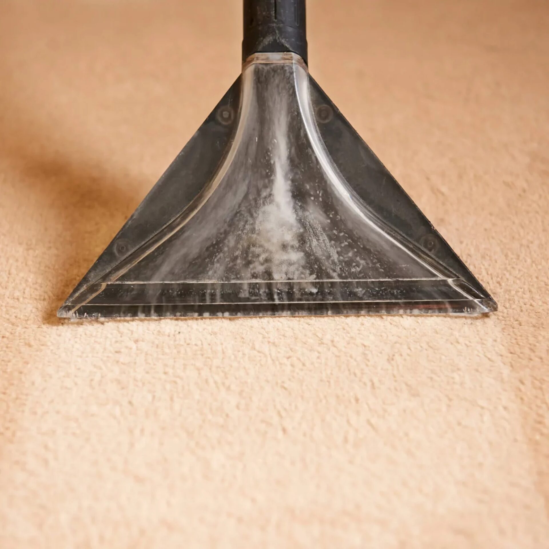 Professional carpet cleaning vacuum head