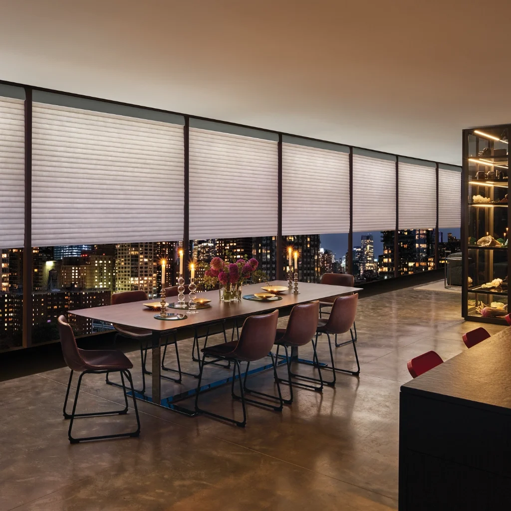 Hunter Douglas blinds